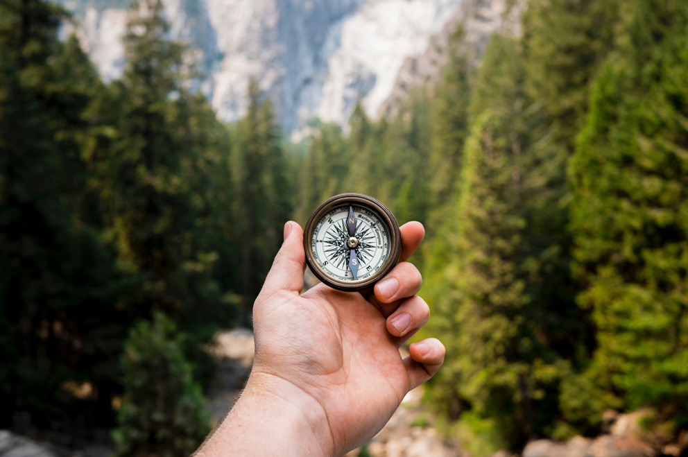 Foto einer Hand, die im Wald einen Kompass hält.