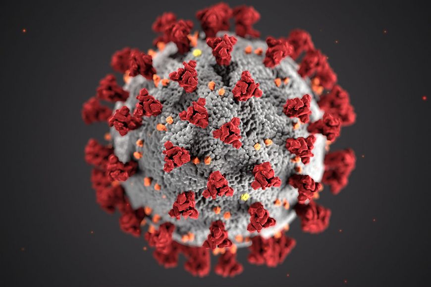 Abbildung des Corona-Virus